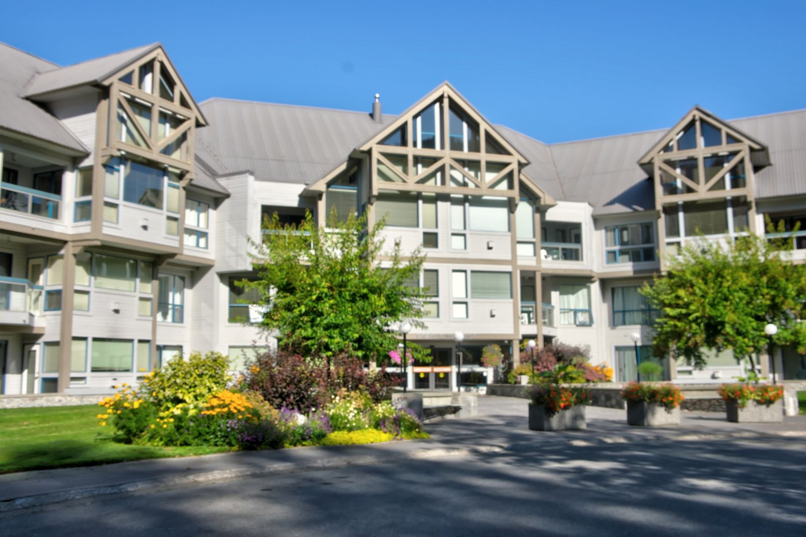 Ski In Ski Out Whistler Condo Rentals Peaks Blog